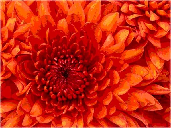 Create Watercolor Effect On Wallpapers 1 Create Watercolor Effect On Wallpapers
